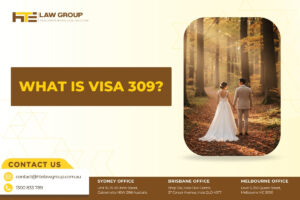 What is Visa 309?